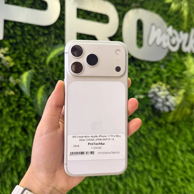 iPhone 17 Pro Max 256GB Silver