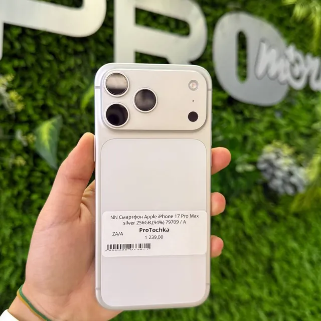 iPhone 17 Pro Max 256GB Silver