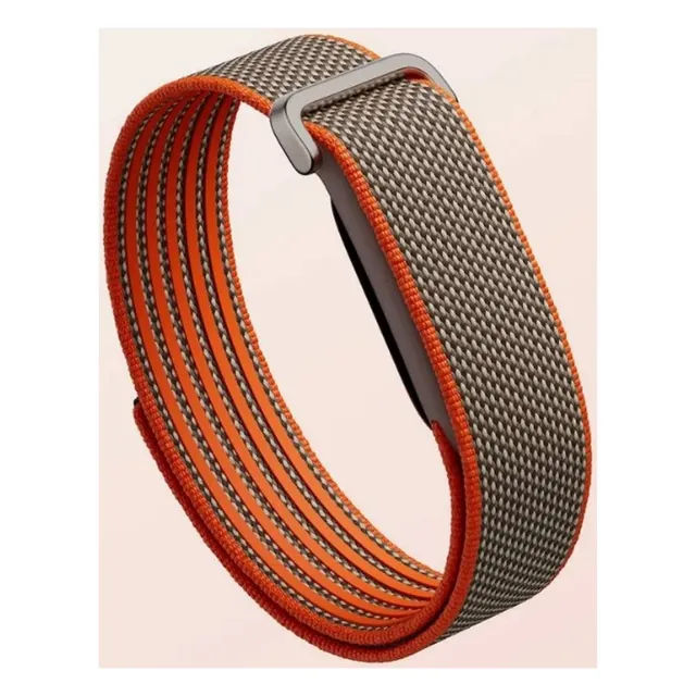 Google Fitbit Air Special Edition